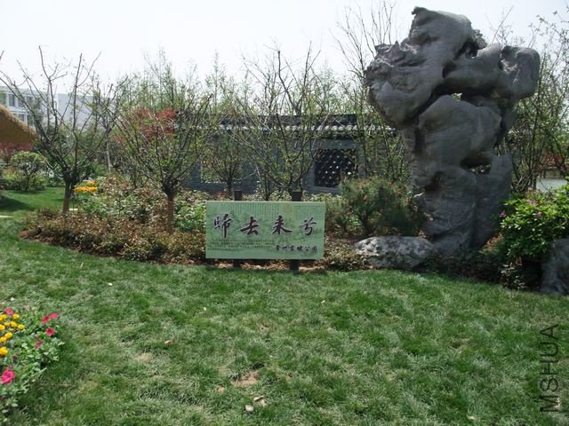 1004280104.jpg