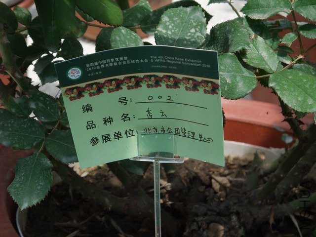 1004280132.jpg
