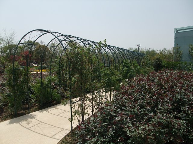 1004280184.jpg