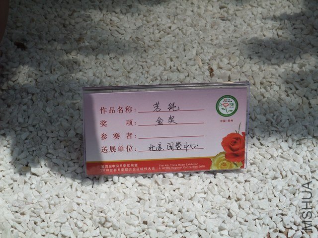 1004280126.jpg