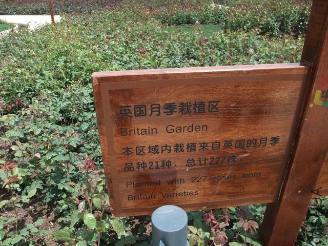 1004280189.jpg