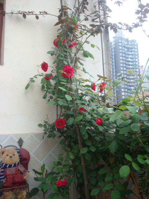 DSC01544.JPG