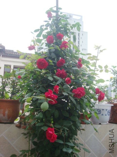 DSC01541.JPG