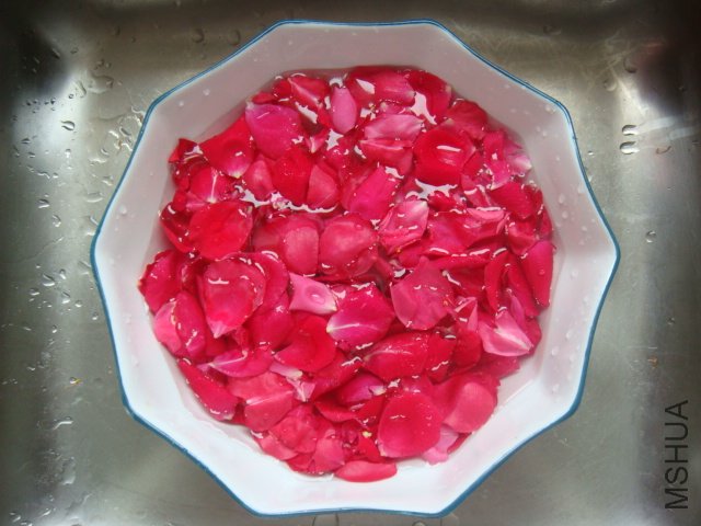 DSC01442.JPG