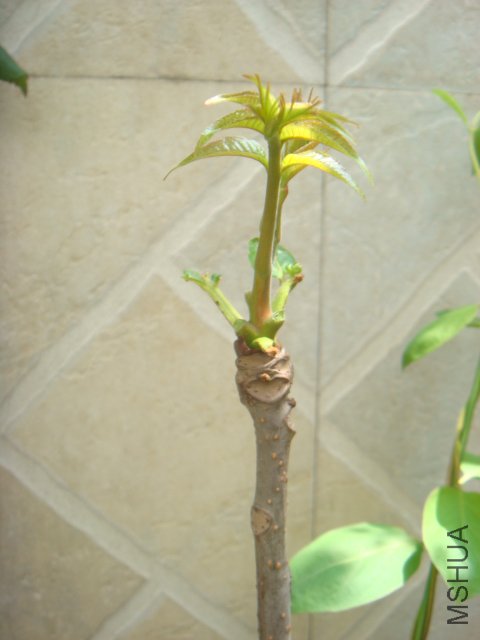 DSC01400.JPG