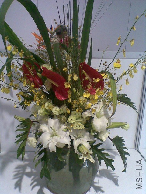 20100428(037).jpg