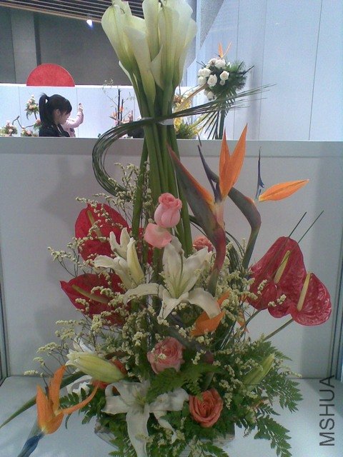 20100428(039).jpg