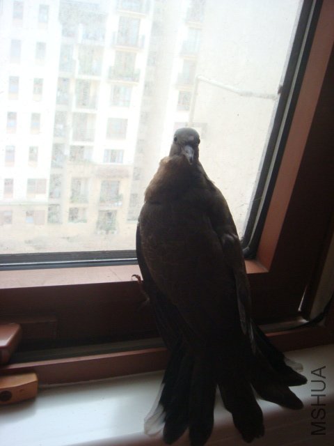 DSC01563.JPG