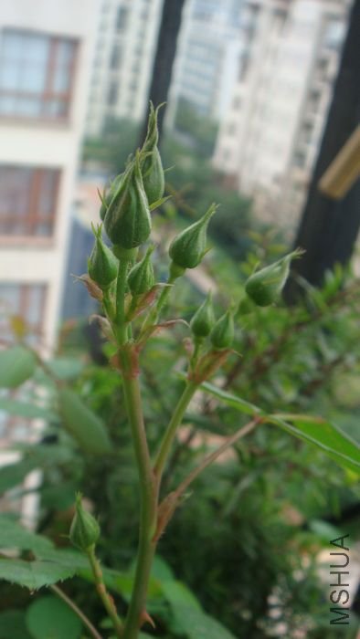 DSC01614.JPG
