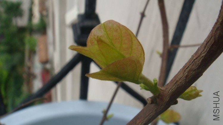 DSC01622.JPG