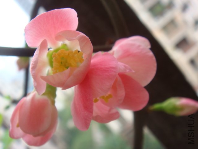 DSC01125.JPG
