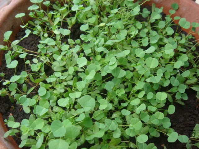 DSC01148.JPG