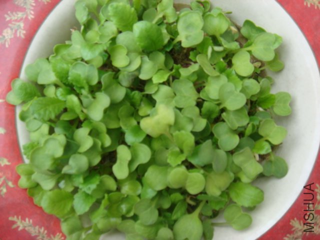 DSC01153.JPG