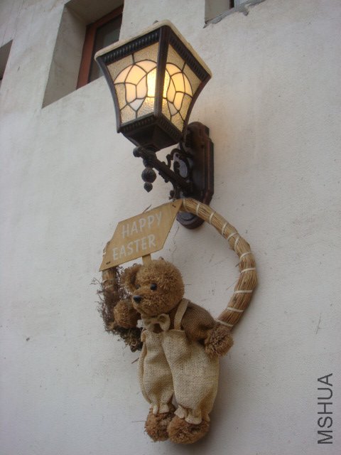 DSC01165.JPG