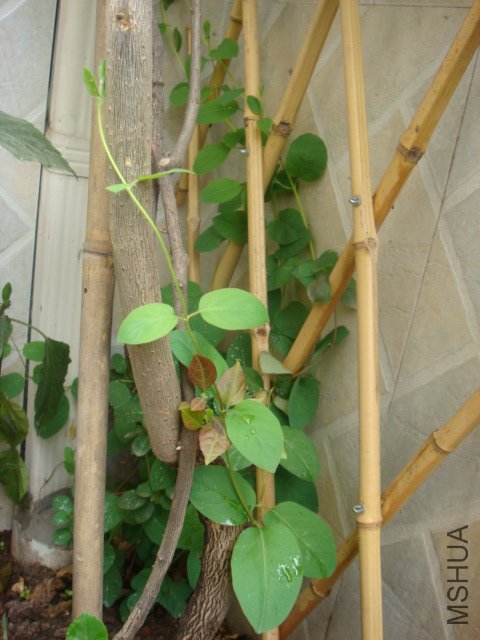 DSC01182.JPG