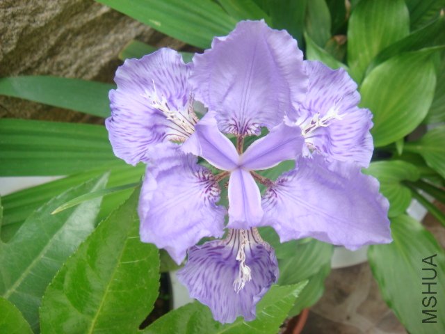 DSC01480.JPG