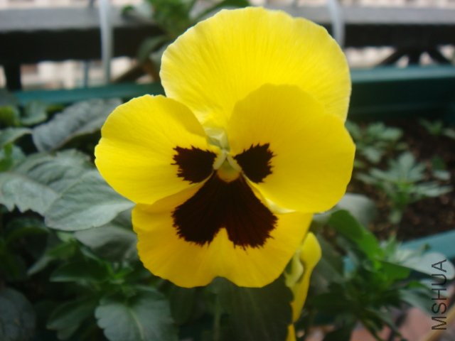 DSC01450.JPG