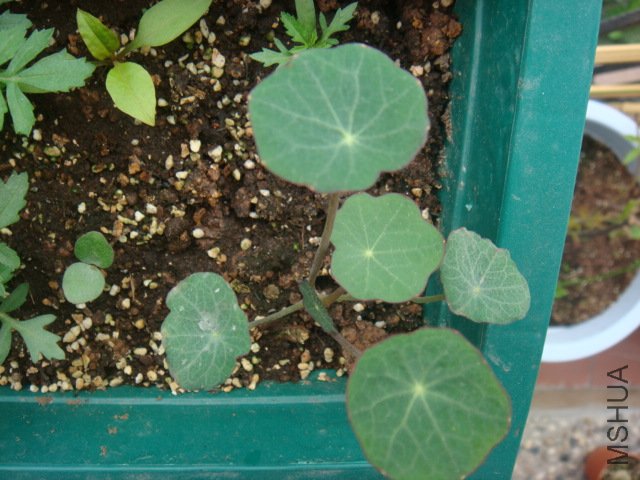 DSC01516.JPG