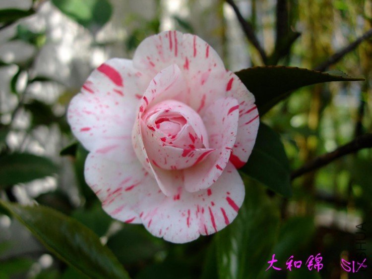 ��ͽ� 10-4-29(1).jpg