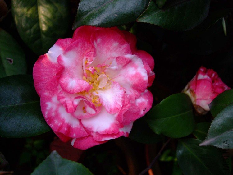 ���´�ʹ� 10-5-1 (1).jpg