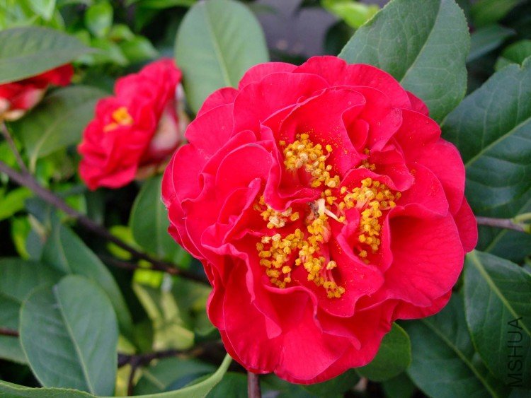 ����˹����  10-5-1 (2).jpg