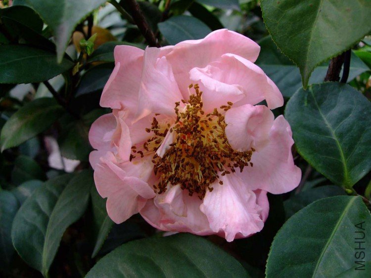 ���ݲ����� 10-5-1 (1).jpg