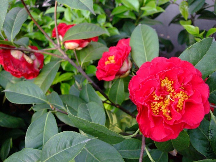 ����˹����  10-5-1 (1).jpg