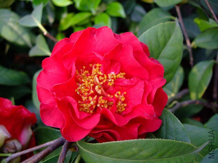 ����˹����  10-5-1 (3).jpg