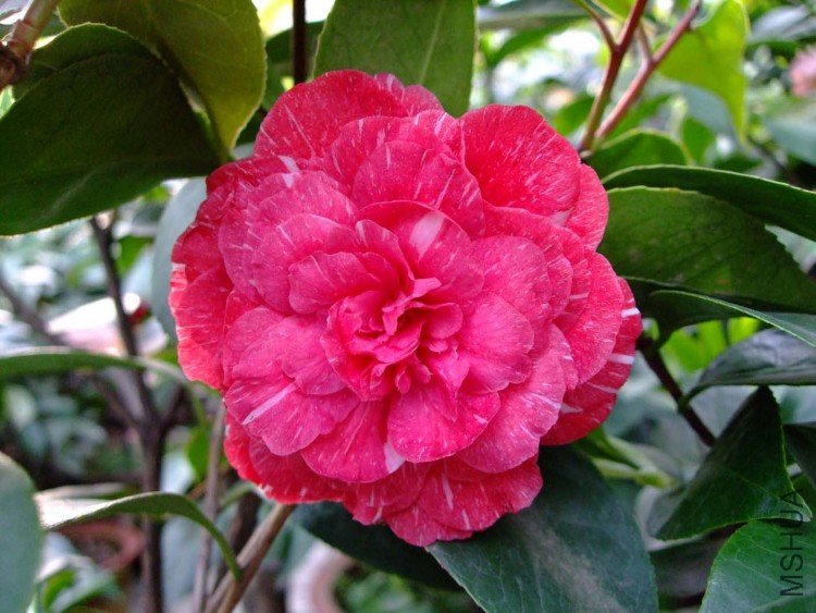 ԧ���� 10-5-1 (1).jpg