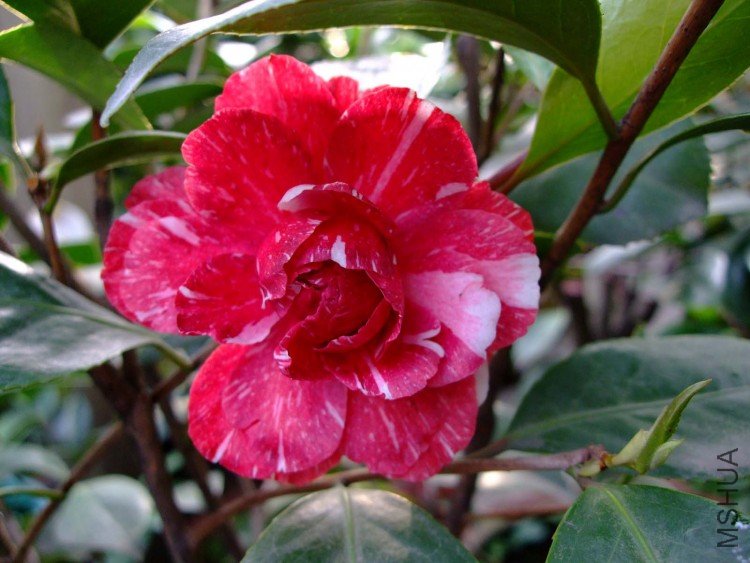 ԧ���� 10-5-1 (2).jpg