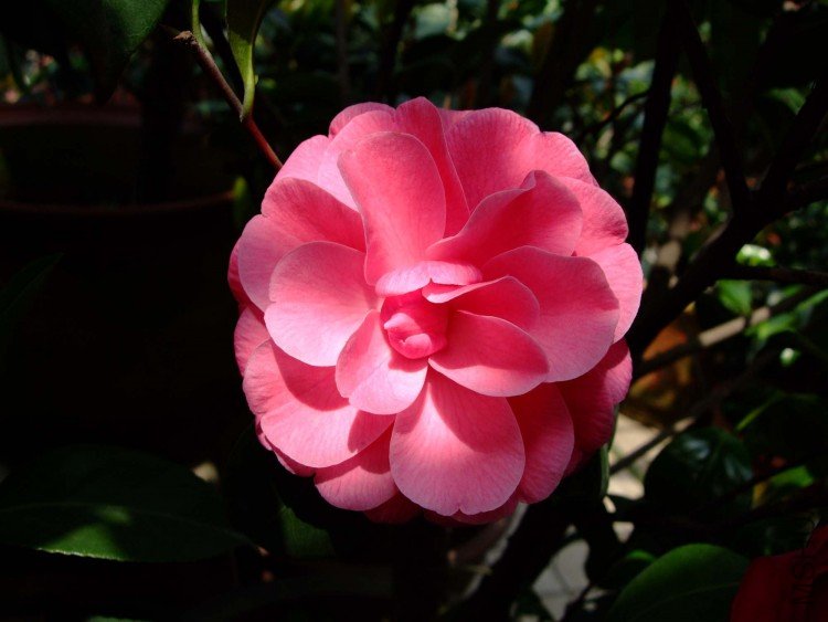 slx��Ƭ 02511.jpg