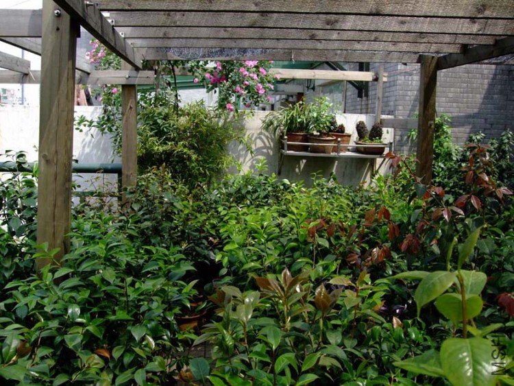 ¶̨����10-5-1 (9).jpg