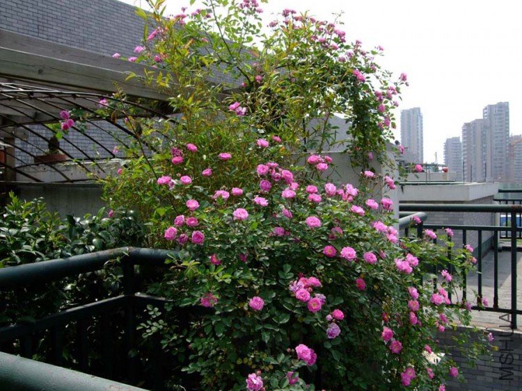 ¶̨���� 10-5-1(1).jpg