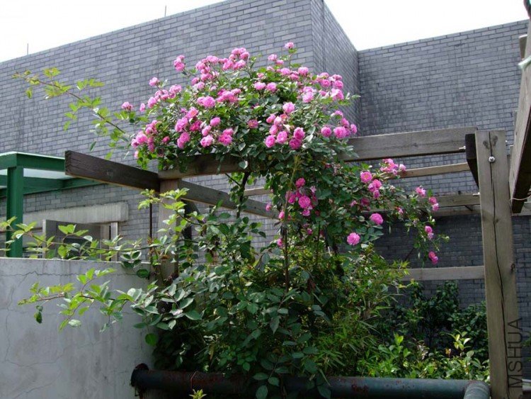 ¶̨���� 10-5-1 (8).jpg