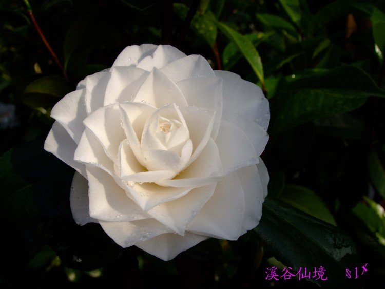 Ϫ���ɾ� 10-5-2(1).jpg