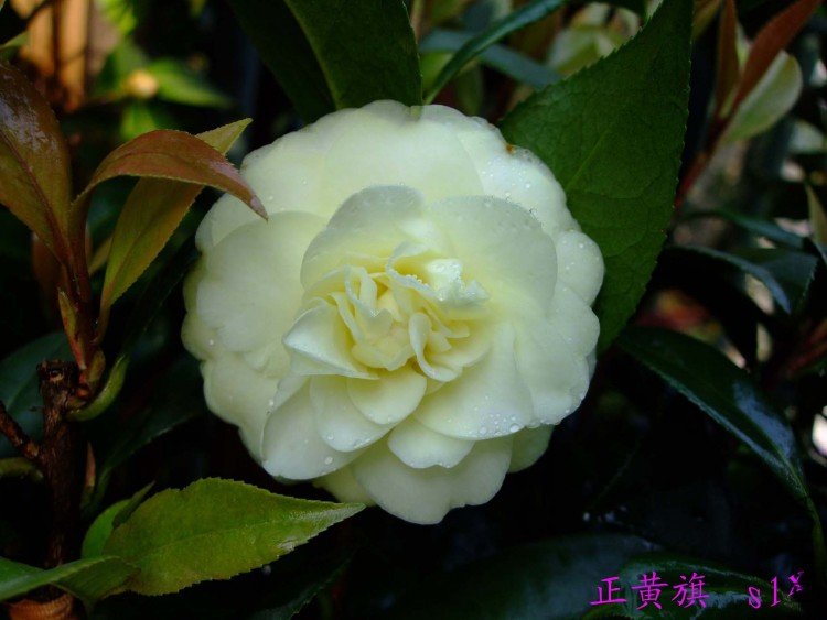 ������ 10-5-2 (2).jpg