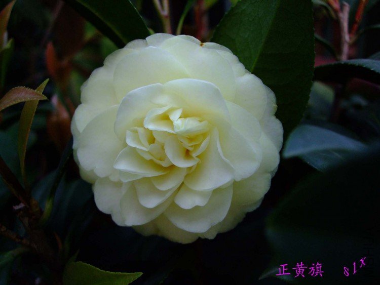 ������ 10-5-2(1).jpg