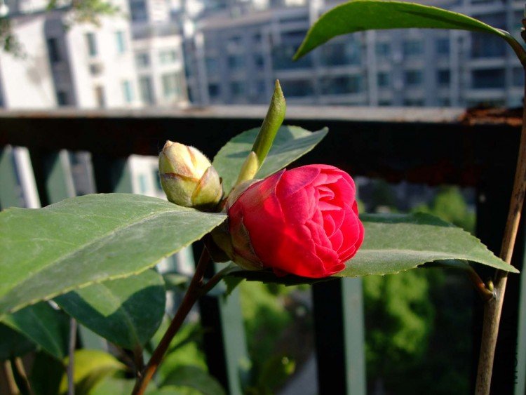 ���һ��� 10-5-3 (2).jpg