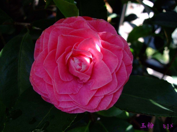 ��� 10-5-3(1).jpg