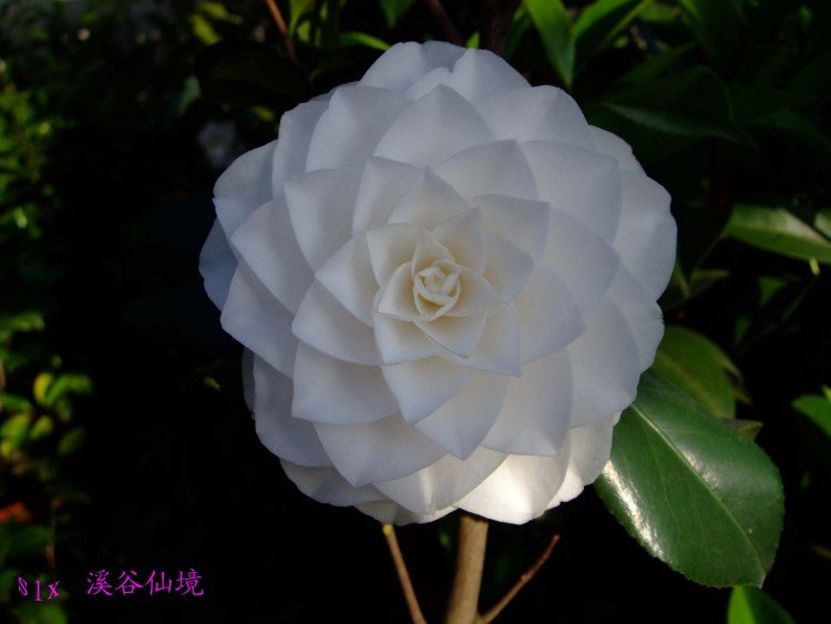 Ϫ���ɾ� 10-5-3 (3).jpg