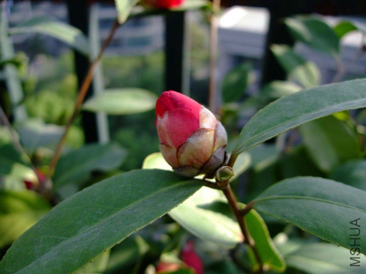 ���һ��� 10-5-3(1).jpg