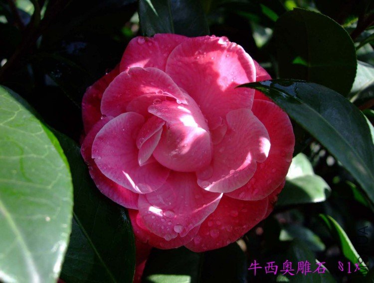 ��ʯ 10-5-3 (2).jpg