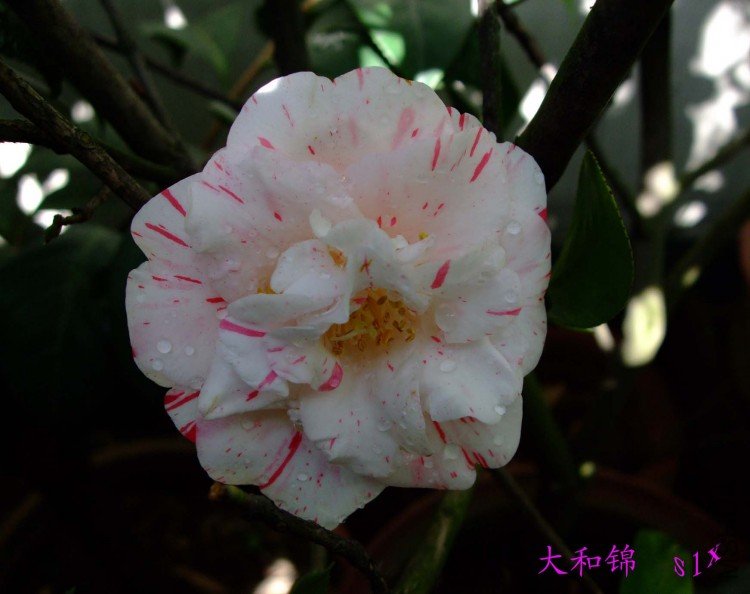 ��ͽ� 10-5-3.jpg