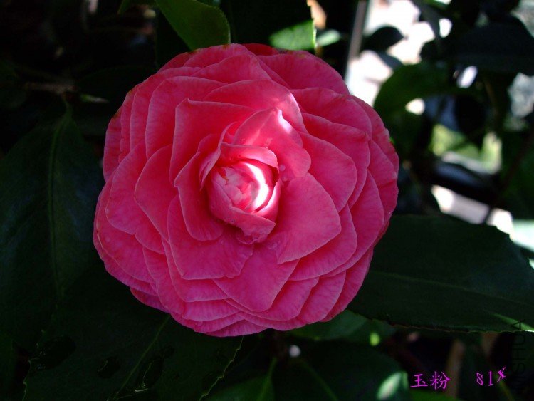 ��� 10-5-3 (2).jpg