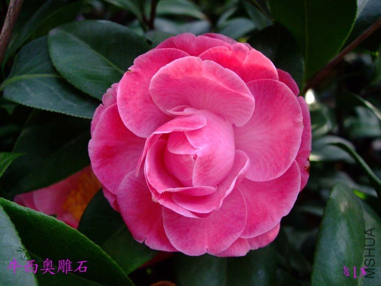 ��ʯ 10-5-3(1).jpg