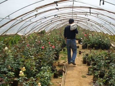 �¼�����