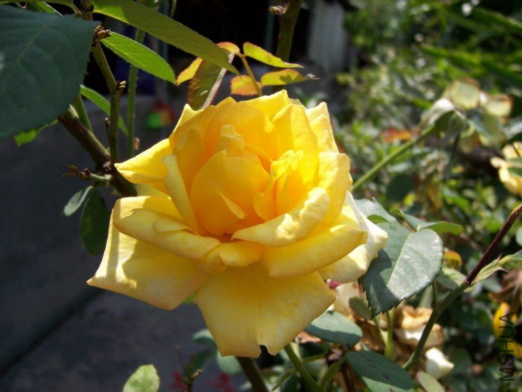 1000503 023.jpg
