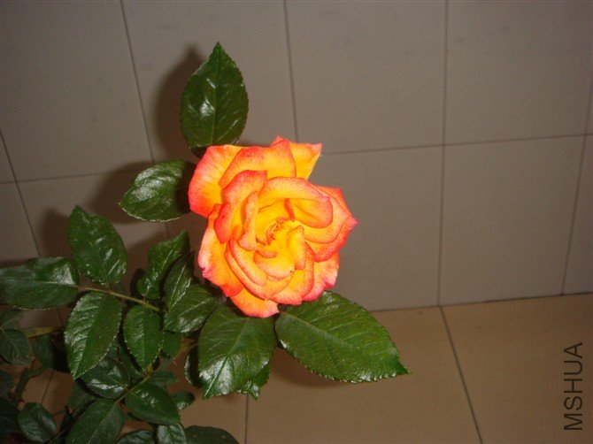 http_imgloadCAD5VOV2.jpg