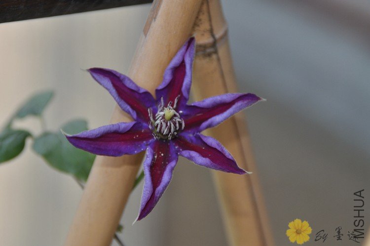 nEO_IMG_��Ƭ 123.jpg