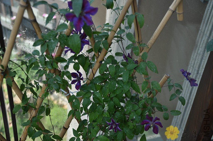 nEO_IMG_��Ƭ 124.jpg